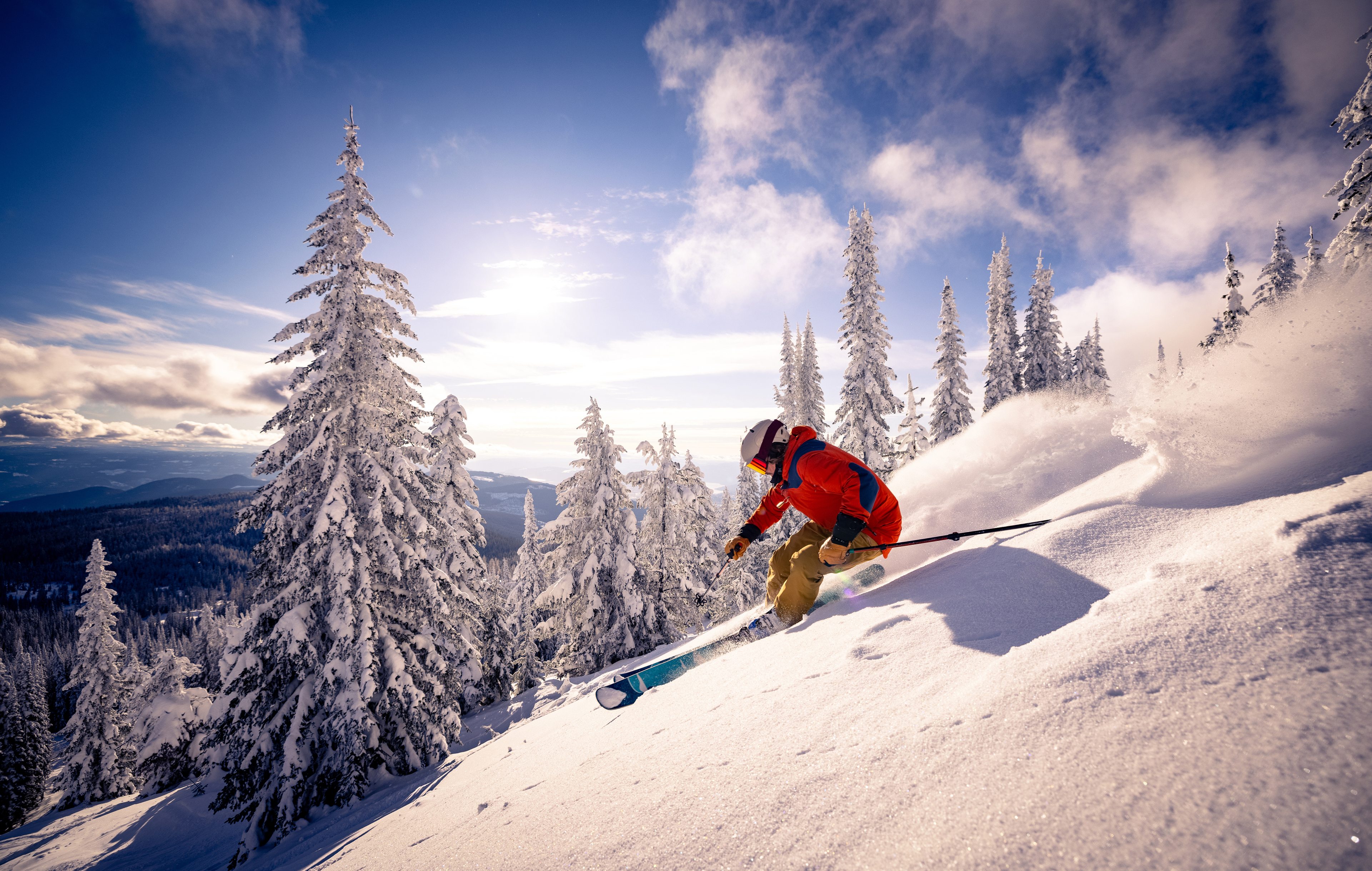 Skier in red jacket carving through fresh powder snow among snow-covered evergreen trees on sunny mountain slope