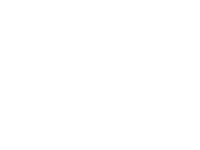 SSFA logo in white