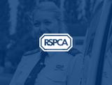 RSPCA CRO improvement