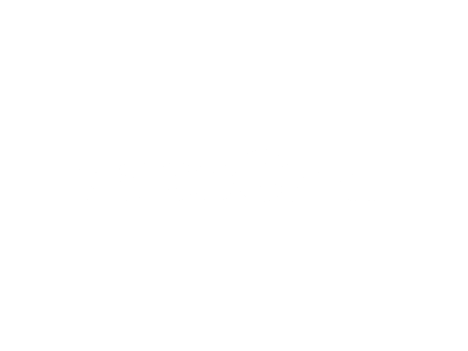 Leasecar logo in white