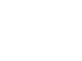 White Netlify logo on transparent background